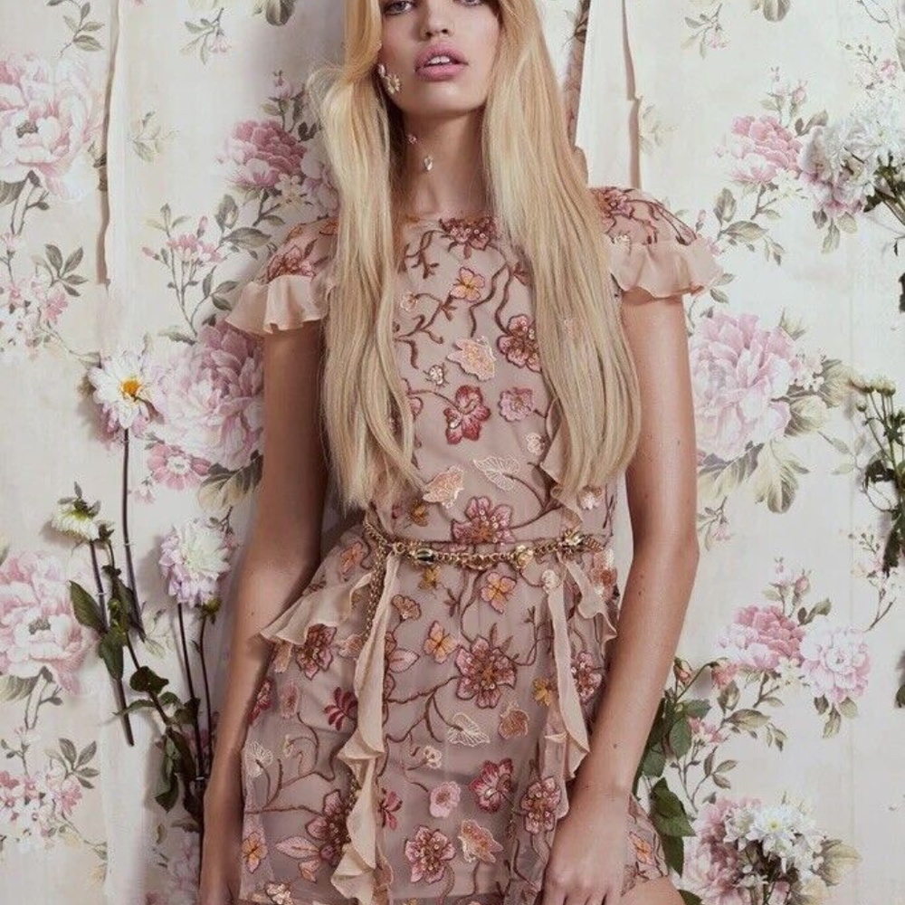 Botanic Butterflies Butterfly Bug Sequin Flutter Coquette Trendy Hip Mini Dress - Picture 12 of 13